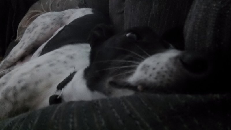 103_0016.JPG