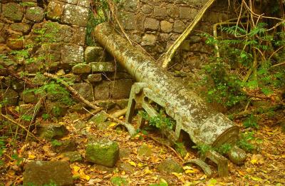 Fort Shirley. Douglas Bay battery. (Dominica)