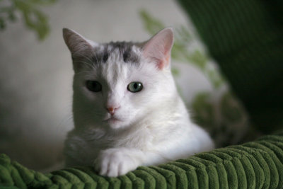 bb 003.jpg