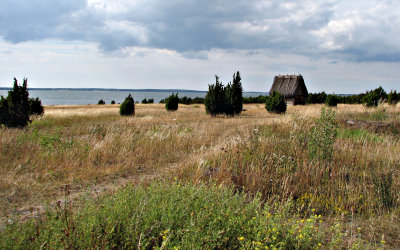 Landskap på Fårö