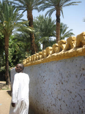my guide in the nubian village