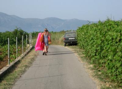 walking through vineyards to a beach on the island of korcula