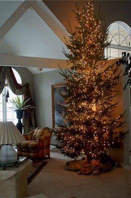 Living room  13 web.jpg