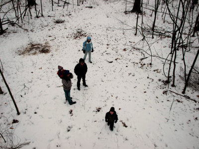 From a deer hunter's tree stand in our woods