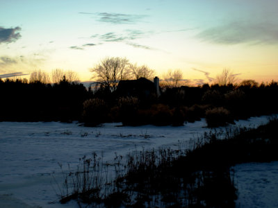 Dusk in front of the woods