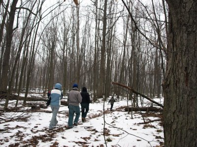 walking in the woods