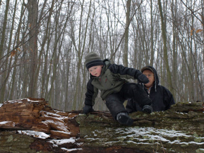 Will climbing on the fallen tree