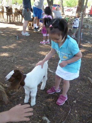 小小動物園