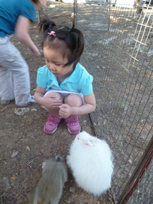 小小動物園