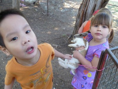 小小動物園