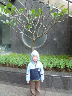 P1030697r.JPG