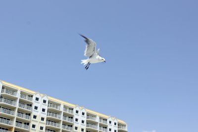 IMG_2213.jpg