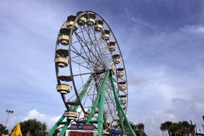 IMG_2319.jpg
