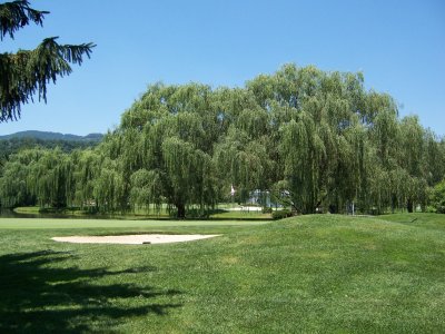 Greenbrier_Meadows_11.JPG