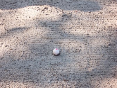 Oakhurst - Ball sitting on sand tee