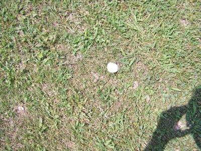 Oakhurst - Here's half of my tee shot