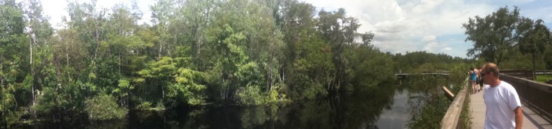 H.P. Williams wayside in Big Cypress Preserve