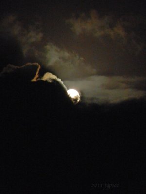moon over the mucky