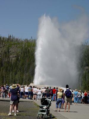 old faithful