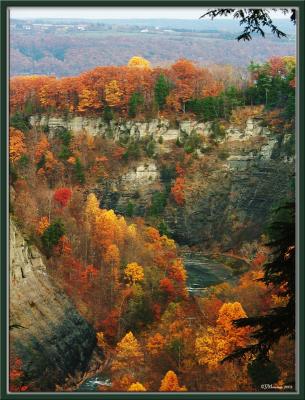 Autumn in the Finger Lakes is Gorges!