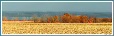 Rural New York