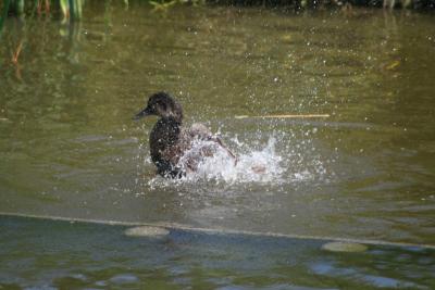 IMG_8741.JPG