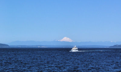 From the Kingston/Lofall Ferry