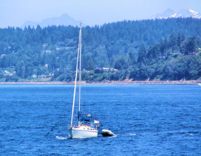 From the Kingston/Lofall Ferry