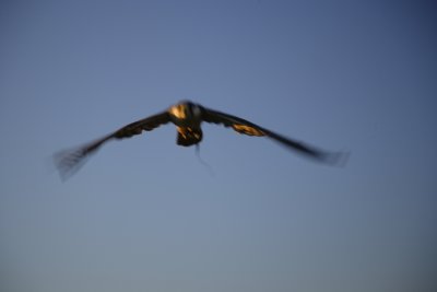 JMW _31108.JPG