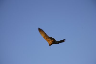 JMW _31118.JPG