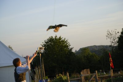 JMW _31119.JPG