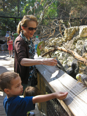 Birdfeeding With Nana