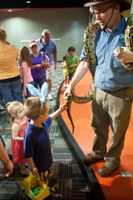 Animal Discovery