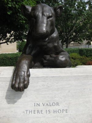 dc_trip_raw_pics