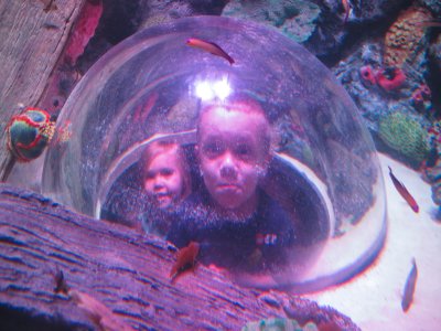 My Two Little Fish