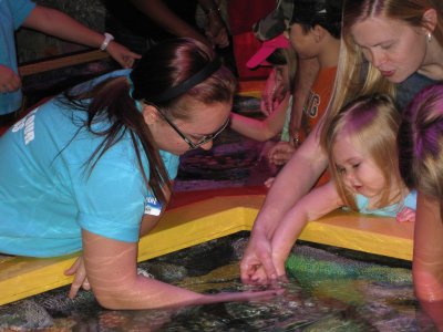 Meeting a Starfish Up Close