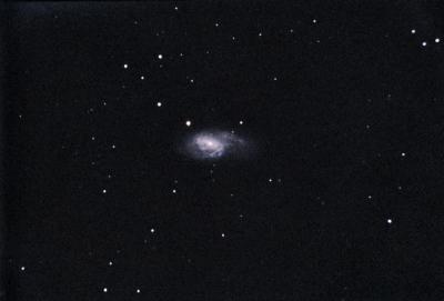 M66