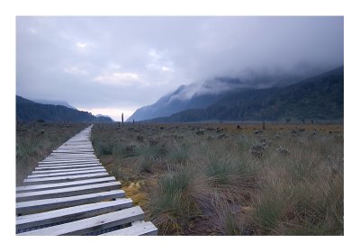 Rwenzori Hike 2011