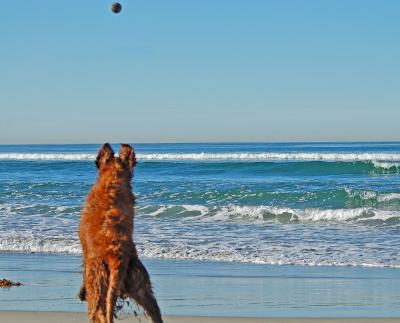 Keep your eye on the ball!