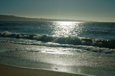 Shining Sea