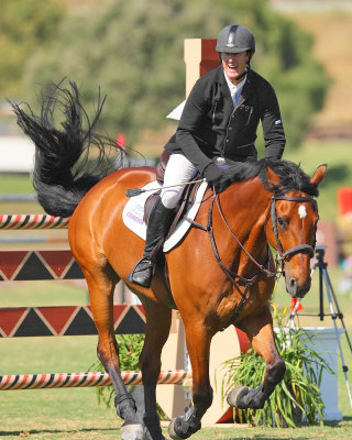 JO8 - Angelli - (3395)