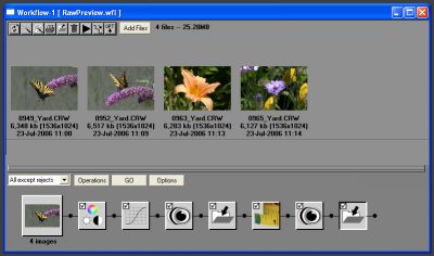Example of PWP RAW workflow