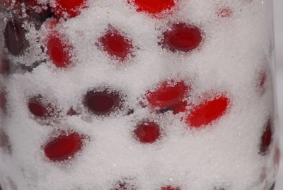 Red & White  Cornus Mas L. & sugar - 2011- by Pietrolucci R.