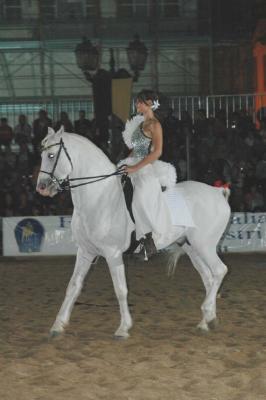 Regions on horseback - Leonessa 2006 - White - by Pietrolucci R.