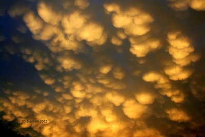 Cloudscapes & Texas Skies