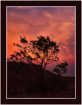 West Texas Landscapes - Scenes Gallery
