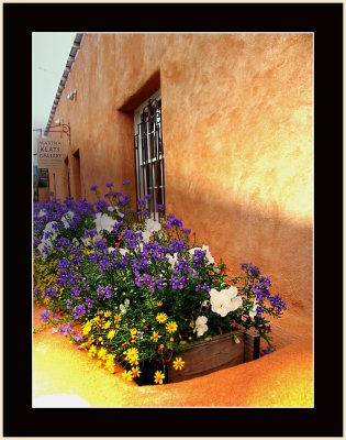 Canyon Road Window Box and Flowers