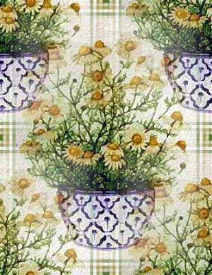 daisypot.jpg