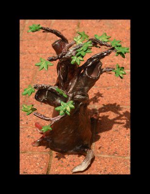 sleepy hollow tree.jpg