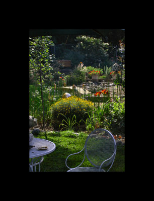 From the bottom of the yard.jpg
